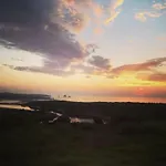 El Pinar De